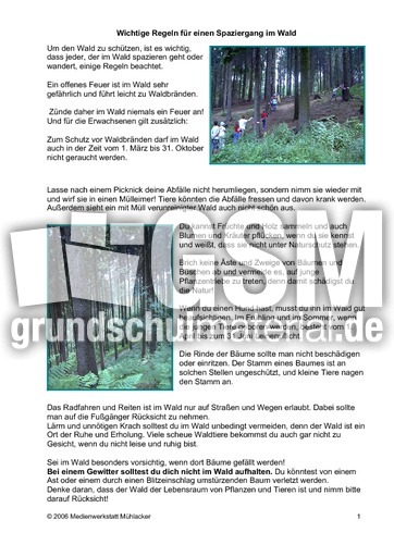 Regeln-Waldspaziergang.pdf